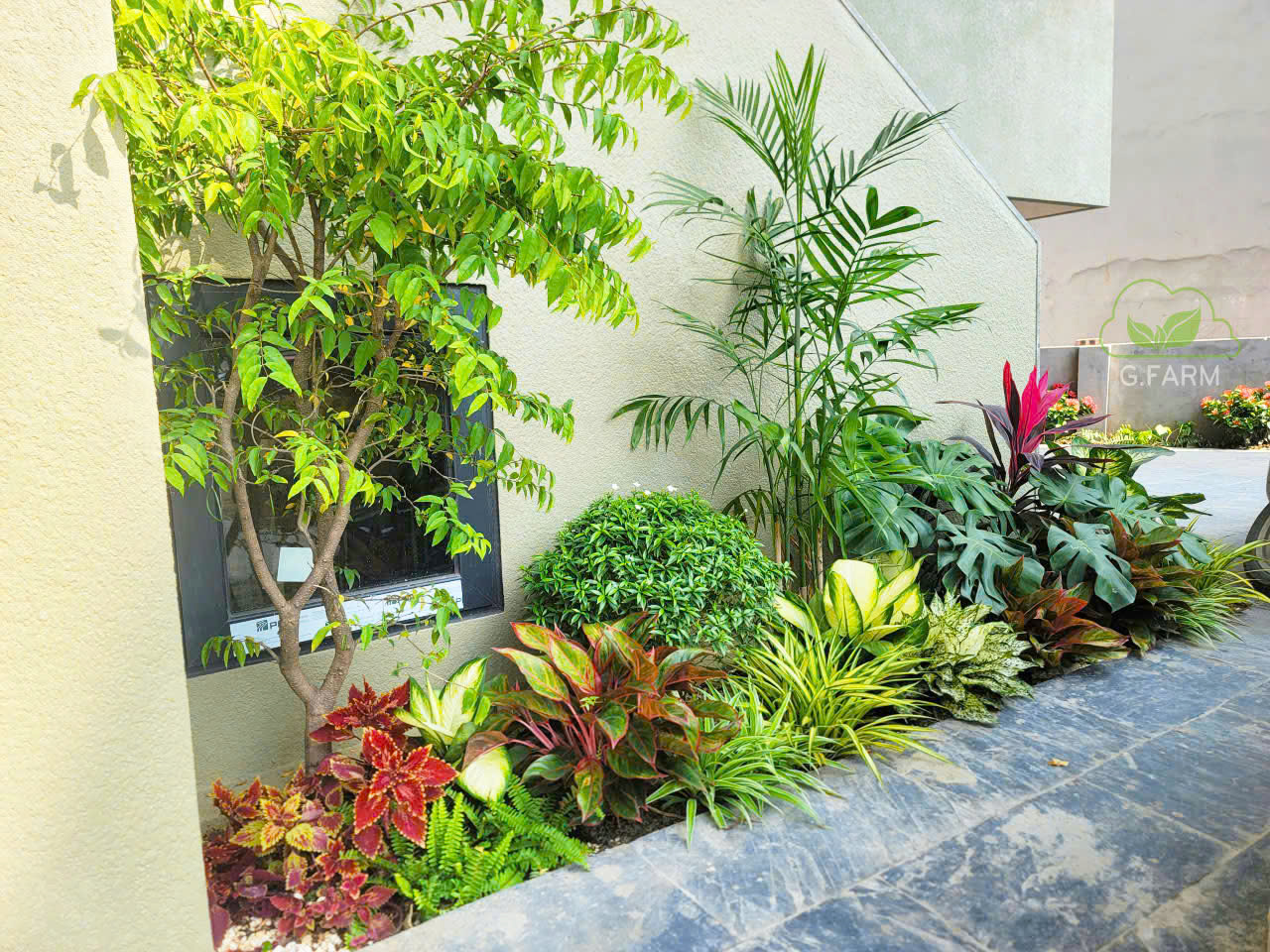 Dự án tiểu cảnh vườn nhà phố Long Biên 